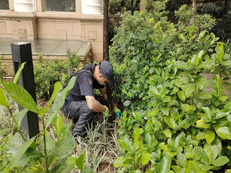 深圳市宝安区白蚁防治中心电话-深圳市宝安区白蚁防治-上门灭白蚁公司电话