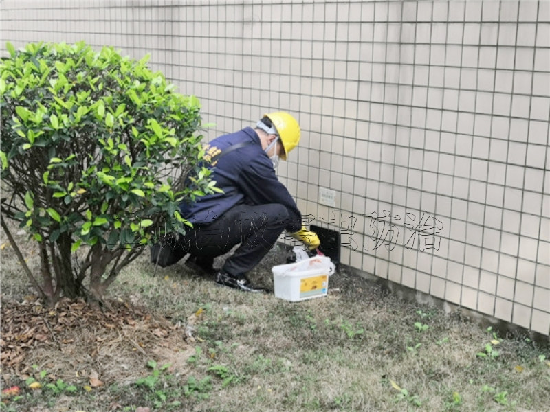 东莞塘厦杀虫灭鼠-东莞塘厦镇灭鼠公司-工厂宿舍杀臭虫灭蟑螂随叫随到服务