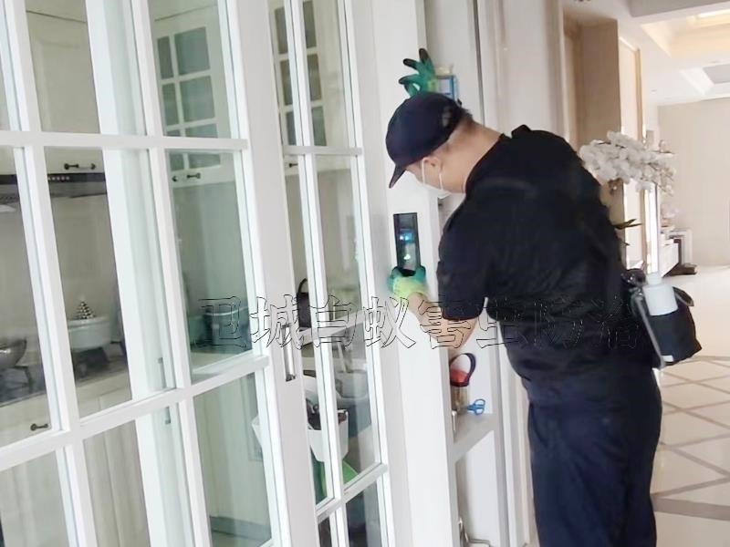 石碣白蚁防治,石龙白蚁防治公司,企石灭白蚂蚁